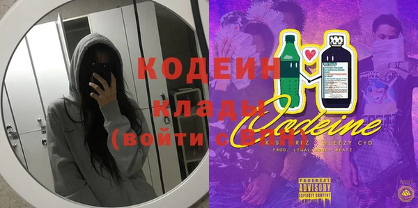 ПСИЛОЦИБИНОВЫЕ ГРИБЫ Арсеньев